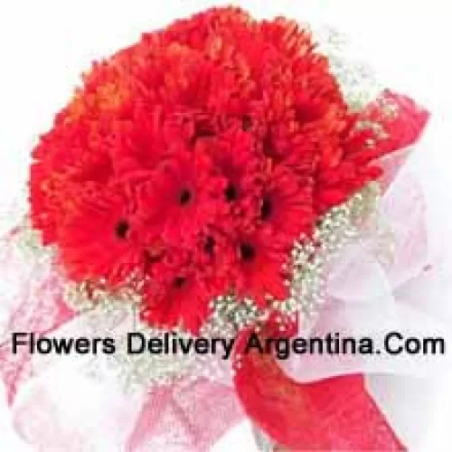 A Beautiful Bunch Of 36 Red Gerberas With Seasonal Fillers