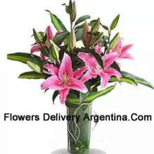 Pink Colored Lilies In A Vase