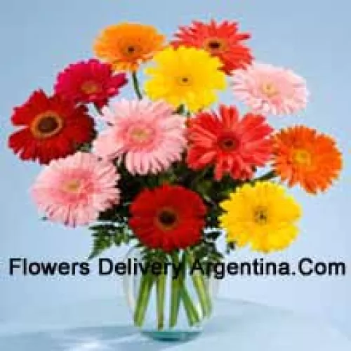 12 Mixed Colored Gerberas In A Vase