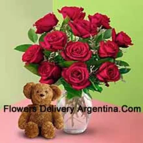 11 Roses rouges avec des fougères dans un vase et un mignon ours en peluche brun de 8 pouces